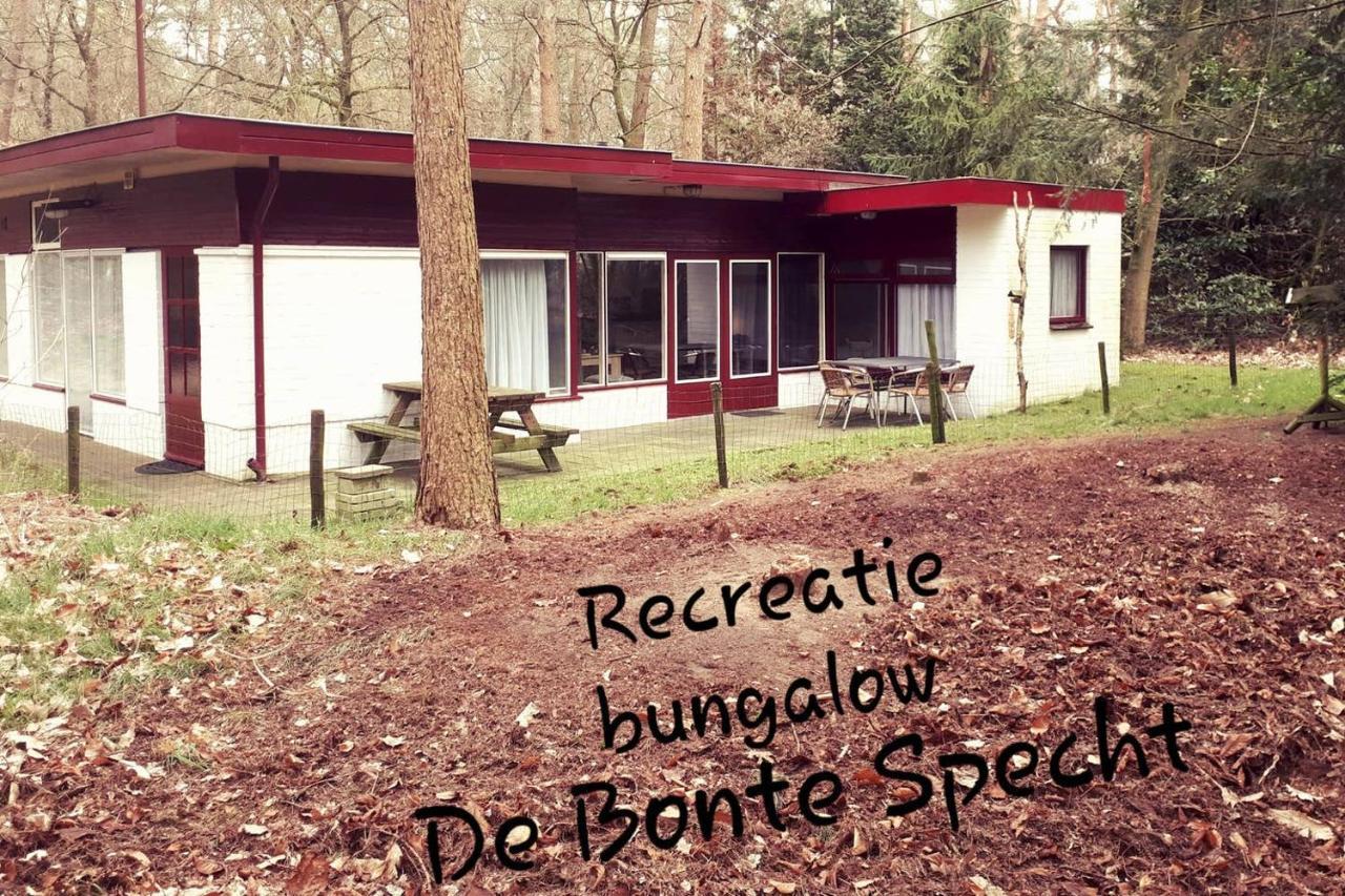 Bonte Specht Villa อ็อตเตอร์โล ภายนอก รูปภาพ